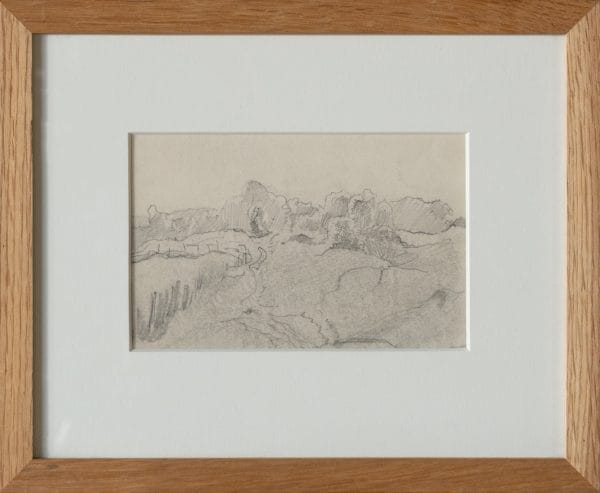 landschap met beekje